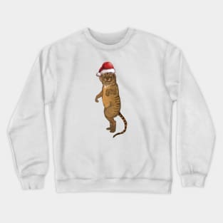 funny cat posing for Christmas cat person gift Crewneck Sweatshirt